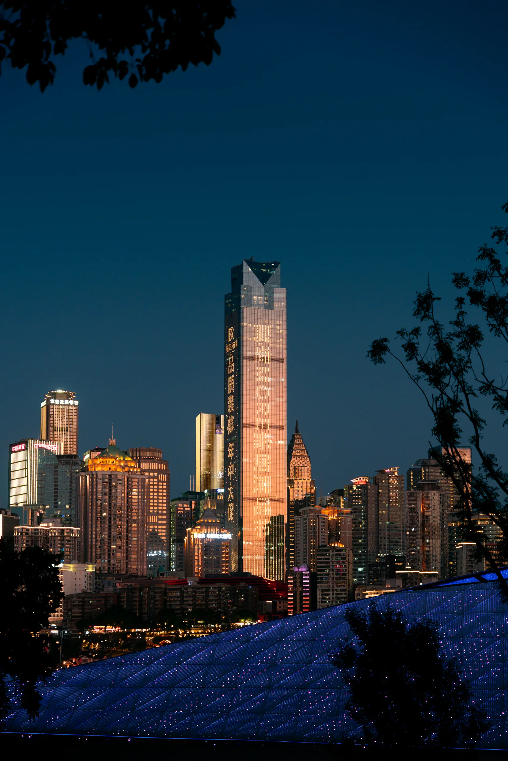树影框住的夜间高楼与蓝黑色天空
