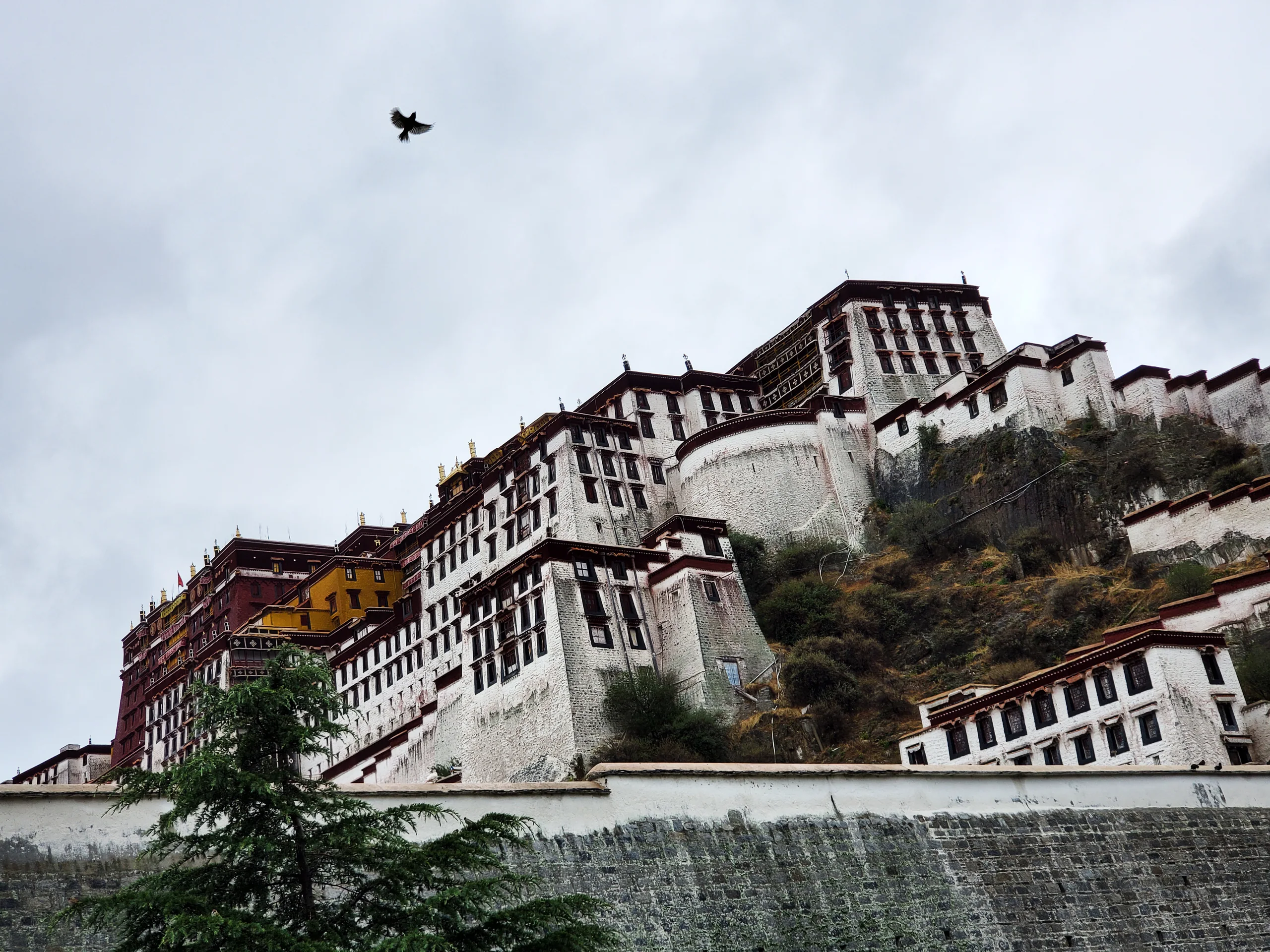 白色山地宫殿建筑坐落在坡地上，天空中有一只飞鸟