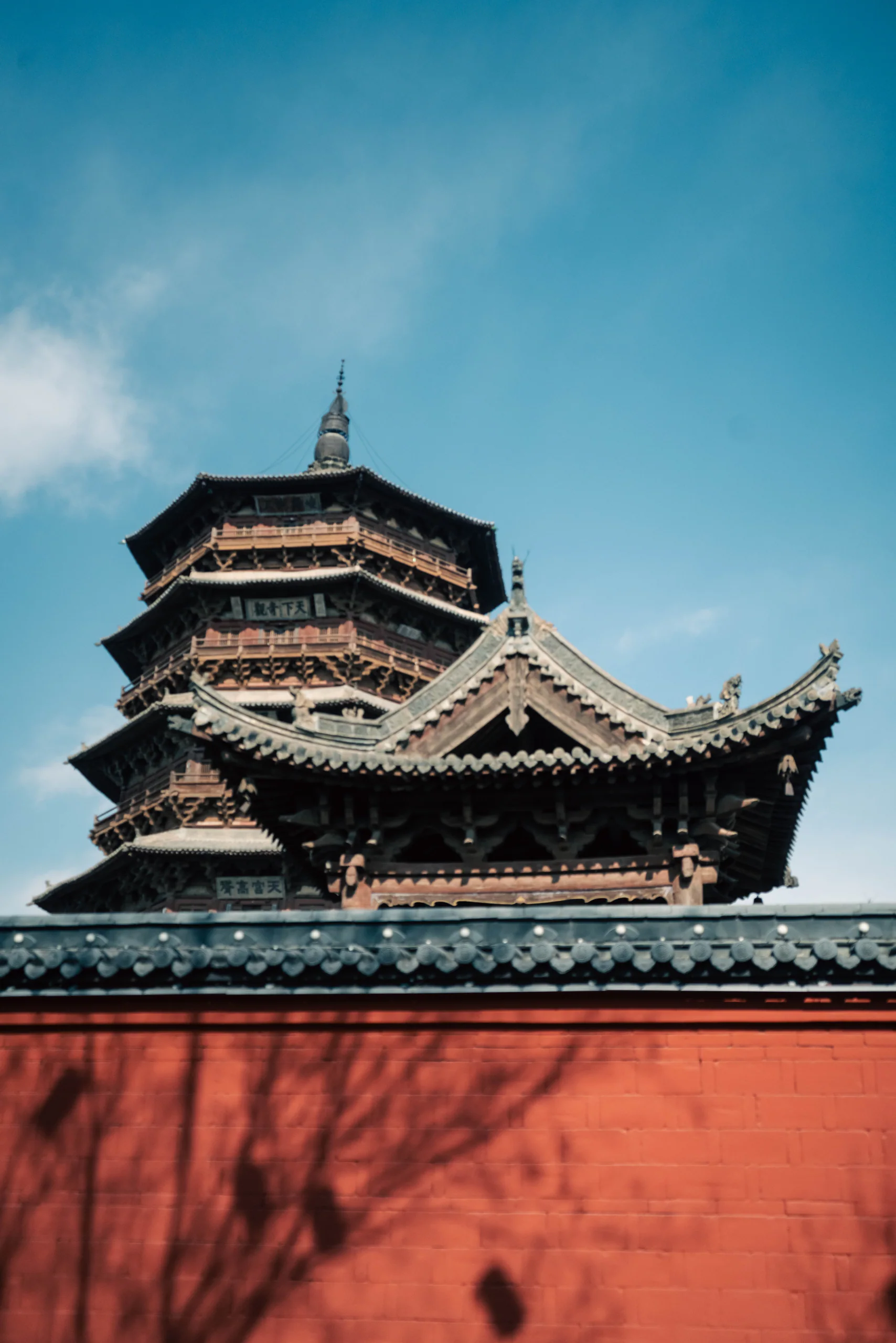 红墙上方的传统楼阁与飞鸟