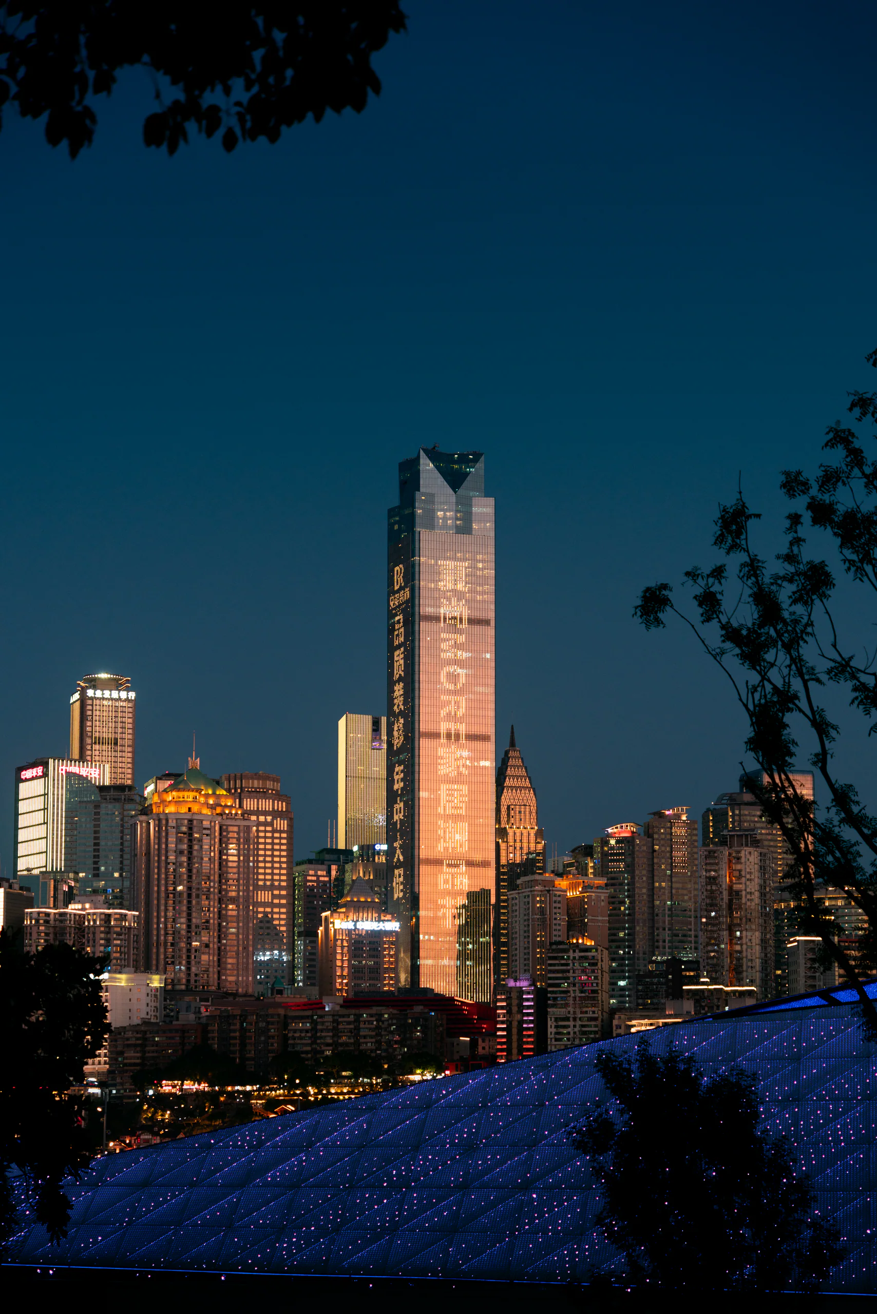 树影框住的夜间高楼与蓝黑色天空
